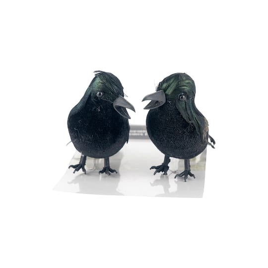 Iridescent Black Crows, 2ct. by Ashland®